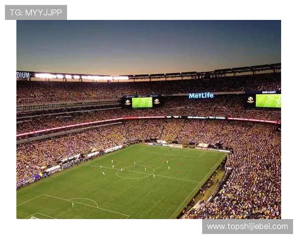 2026年世界杯举办地点最新消息，哪些国家有望成为主办方