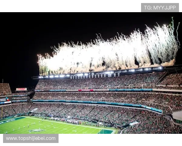 2026年世界杯将在何处举行比赛，全球主要候选城市及其举办条件分析