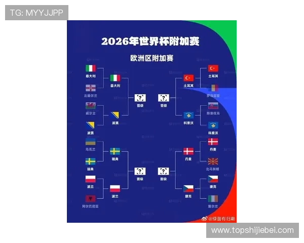 欧洲区世界杯预选赛积分榜最新排名情况，关注各队晋级形势与赛程安排