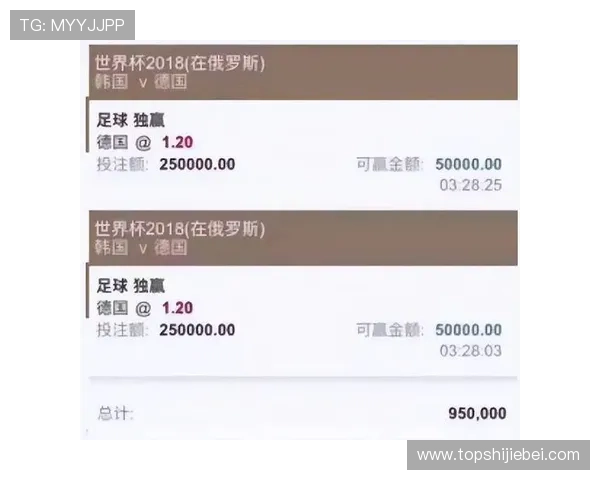 欧洲杯买球网站入口安全性分析，帮助用户识别正规平台，避免非法投注风险